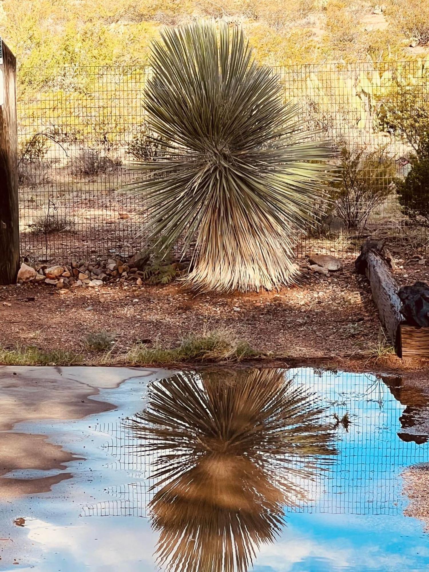 Hole In The Wall Getaway - Usa Mexico Border Bed And Breakfast Columbus Eksteriør billede